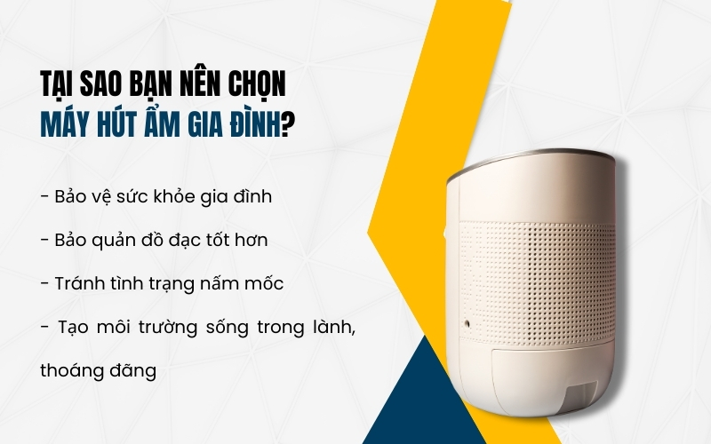 Tại sao bạn nên chọn máy hút ẩm gia đình?