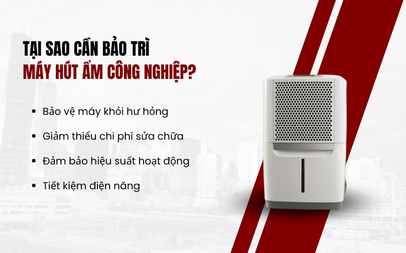 Tại sao cần bảo trì máy hút ẩm công nghiệp?