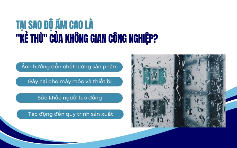 Tại sao độ ẩm cao là 