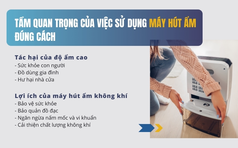 Tầm quan trọng của việc sử dụng máy hút ẩm đúng cách
