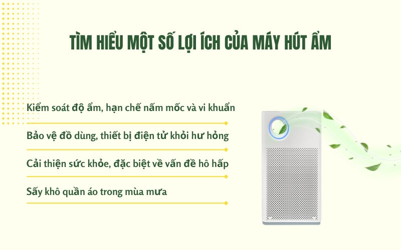 Tìm hiểu một số lợi ích của máy hút ẩm