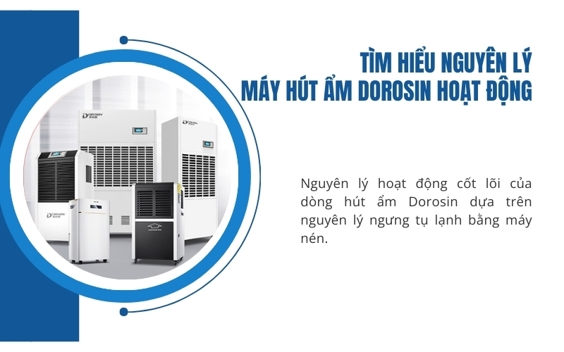 Tìm hiểu nguyên lý máy hút ẩm Dorosin hoạt động