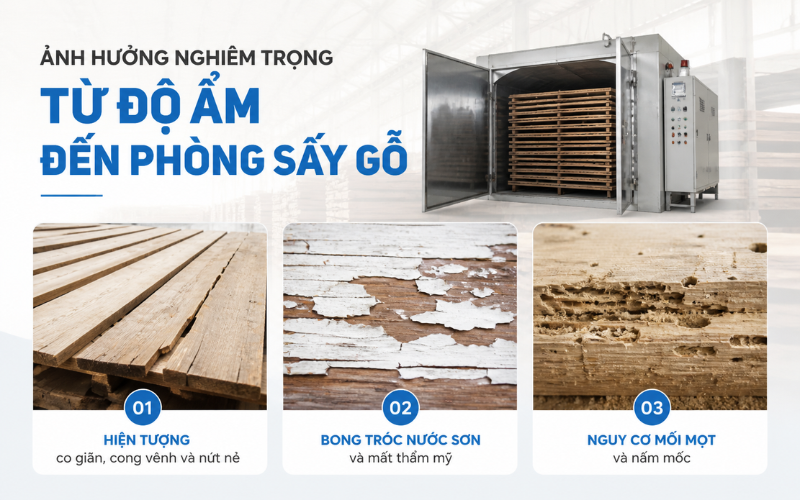 Ảnh hưởng nghiêm trọng từ độ ẩm đến phòng sấy gỗ