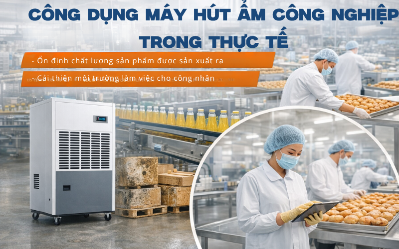 Công dụng máy hút ẩm công nghiệp trong thực tế