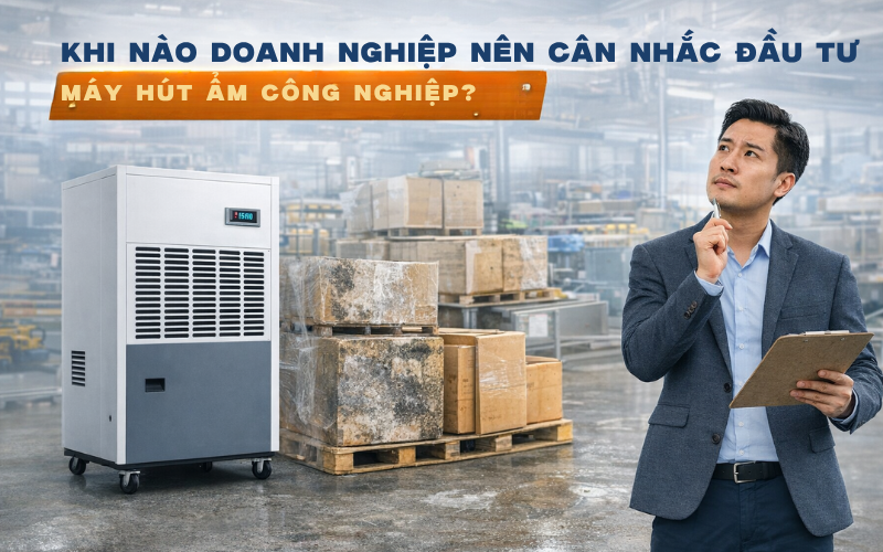 Khi nào doanh nghiệp nên cân nhắc đầu tư máy hút ẩm công nghiệp