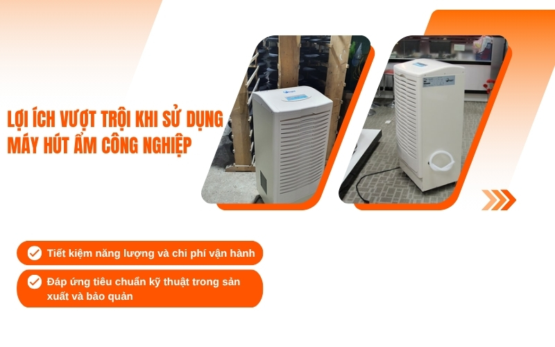 Ứng dụng thực tiễn của máy hút ẩm công suất lớn và nhỏ