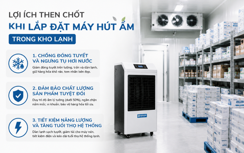 Lợi ích then chốt khi lắp đặt máy hút ẩm trong kho lạnh