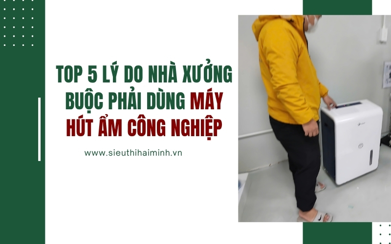 Top 5 lý do nhà xưởng buộc phải dùng máy hút ẩm công nghiệp