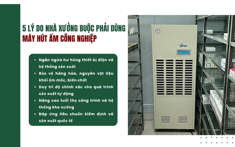 Nhà xưởng phải dùng máy hút ẩm công nghiệp để đáp ứng tiêu chuẩn kiểm định