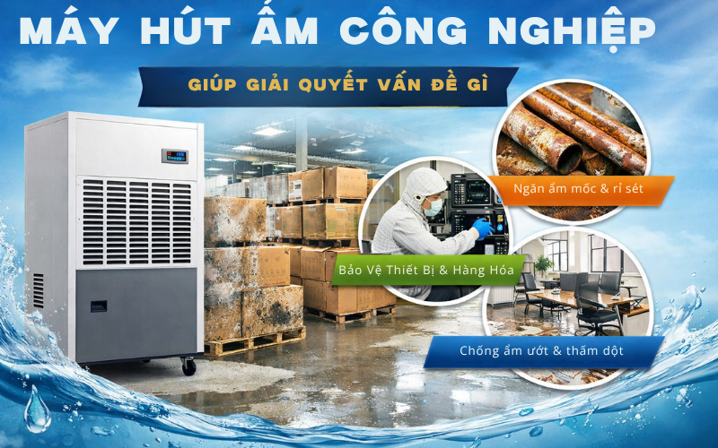 Máy Hút Ẩm Công Nghiệp Giúp Giải Quyết Vấn Đề Gì