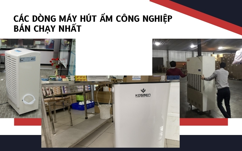 Các dòng máy hút ẩm công nghiệp bán chạy nhất