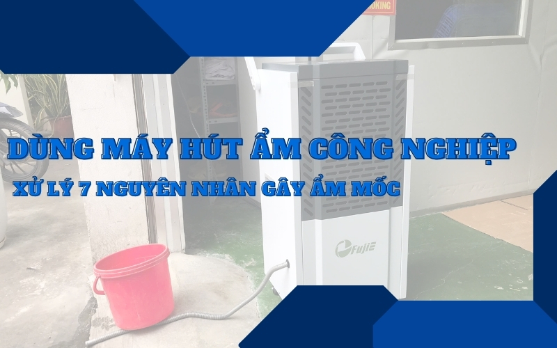 Dùng máy hút ẩm công nghiệp xử lý 7 nguyên nhân gây ẩm mốc