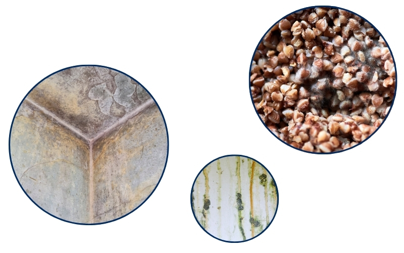 Điểm danh 7 nguyên nhân gây ra tình trạng ẩm mốc trong nhà xưởng