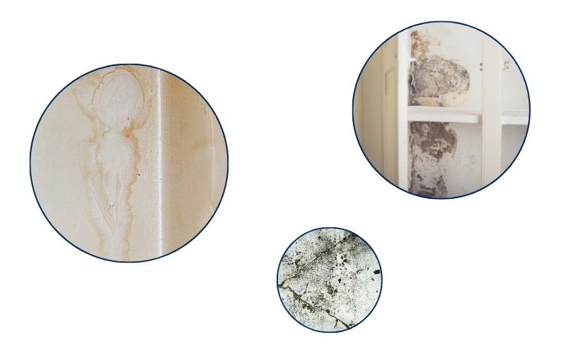 Nguyên nhân trữ hàng hóa có tính hút ẩm cao gây ẩm mốc trong nhà xưởng