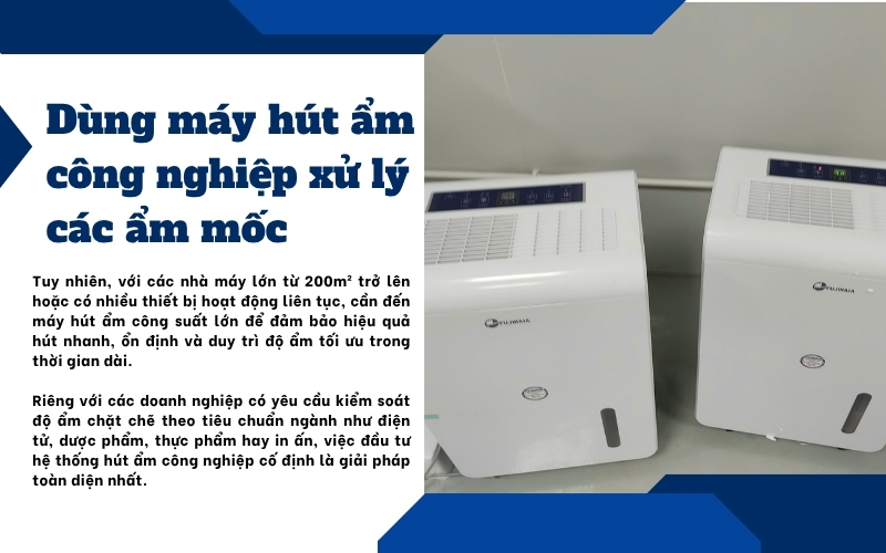 Dùng máy hút ẩm công nghiệp xử lý các ẩm mốc
