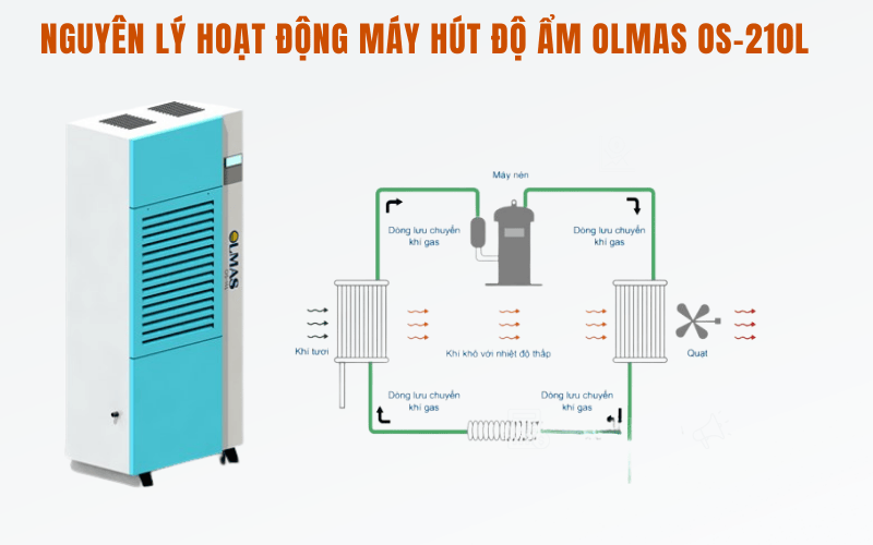 Nguyên lý hoạt động máy hút độ ẩm Olmas OS-210L