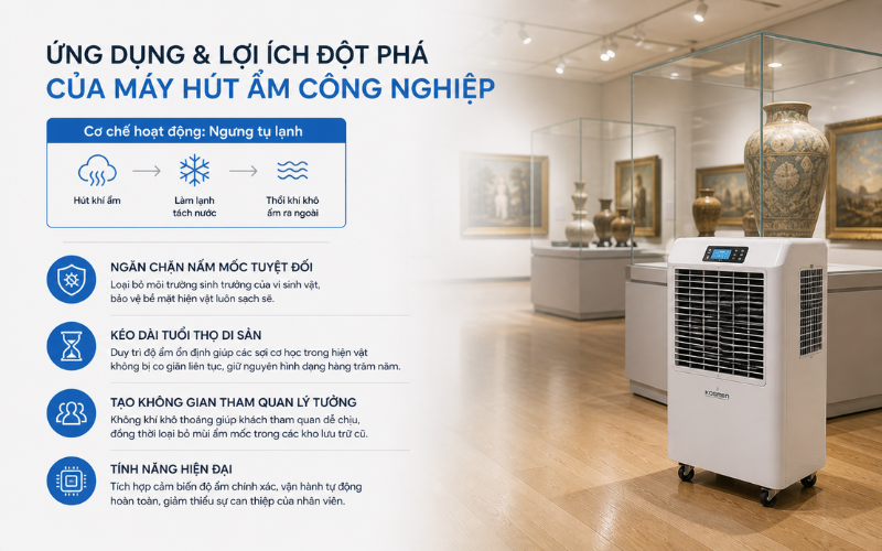 Ứng dụng và lợi ích đột phá của máy hút ẩm công nghiệp