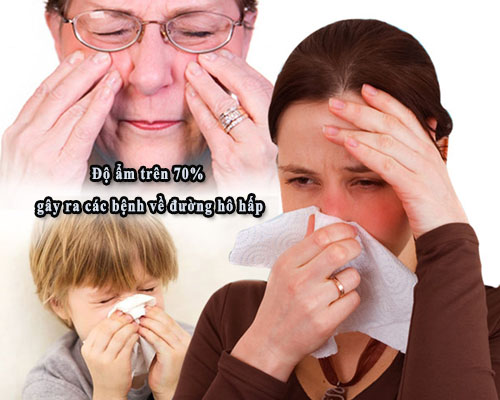 Độ ẩm trên 70% có thể gây ra các bệnh về đường hô hấp