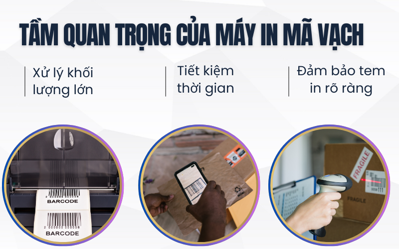 So sánh các loại máy in mã vạch tốc độ cao, đâu là lựa chọn tối ưu cho kho vận?