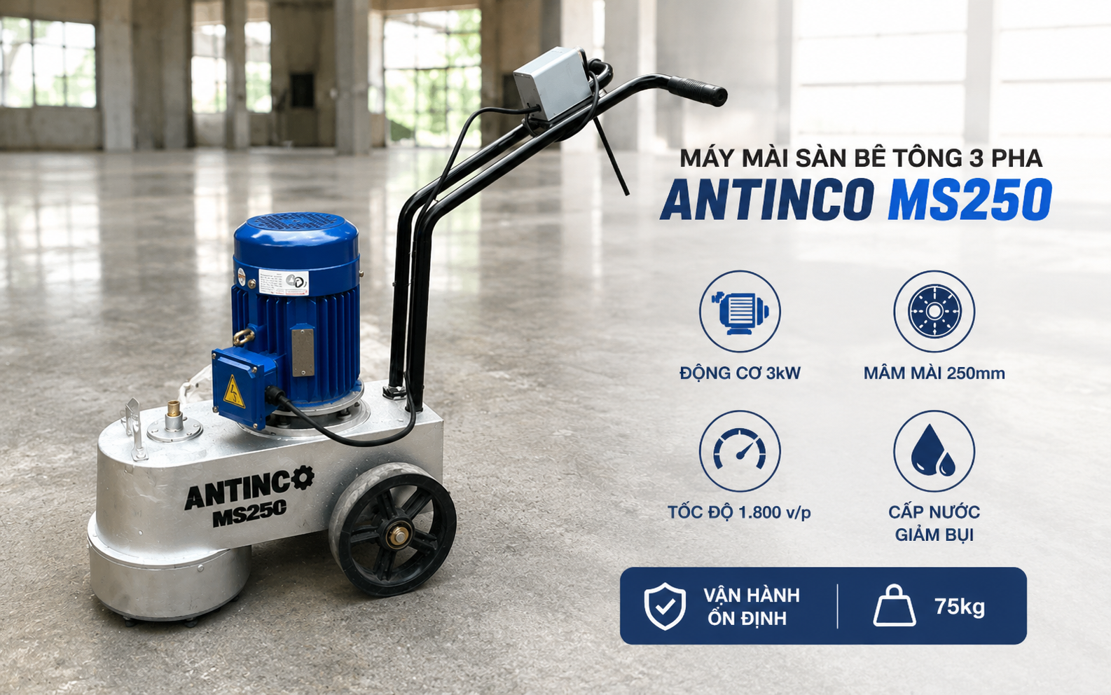 Máy mài sàn Antinco MS250