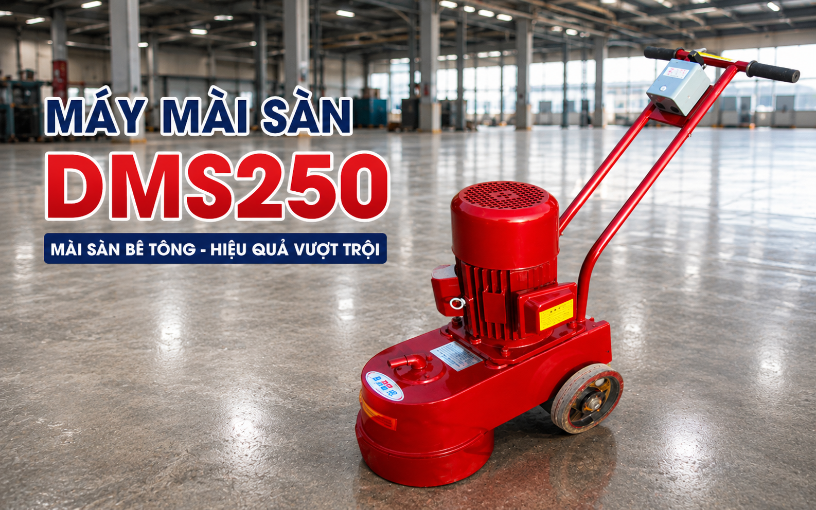 Máy mài sàn DMS250