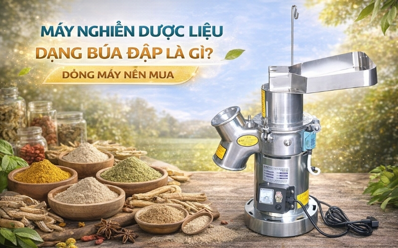 Máy nghiền dược liệu dạng búa đập là gì? Dòng máy nên mua
