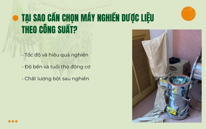 Tại sao cần chọn máy nghiền dược liệu theo công suất?