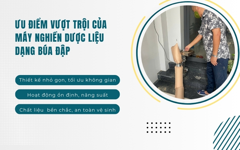 Ưu điểm vượt trội của máy nghiền dược liệu dạng búa đập