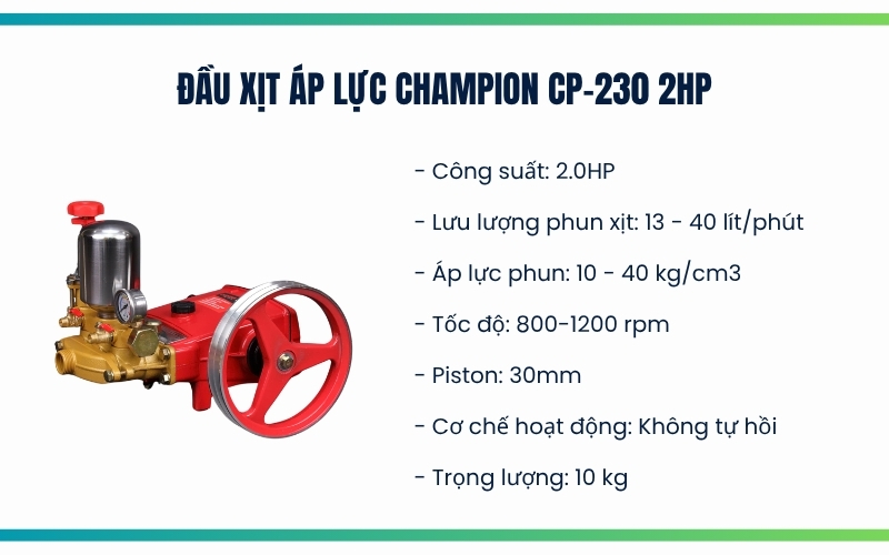 Đầu xịt áp lực Champion CP-230 2HP