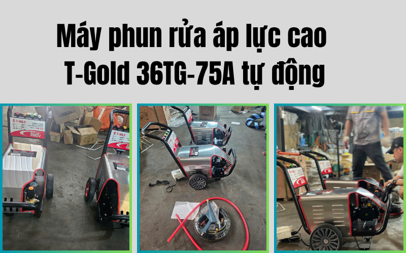 Máy phun rửa áp lực cao T-Gold 36TG-90A tự động