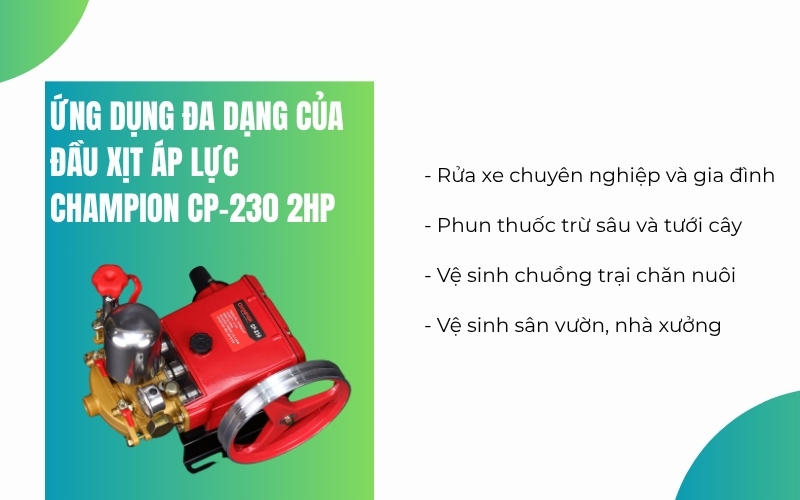 Ứng dụng đa dạng của Đầu xịt áp lực Champion CP-230 2HP