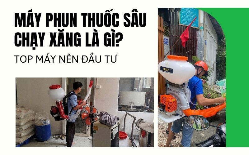 Máy phun thuốc sâu chạy xăng là gì? Top máy nên đầu tư
