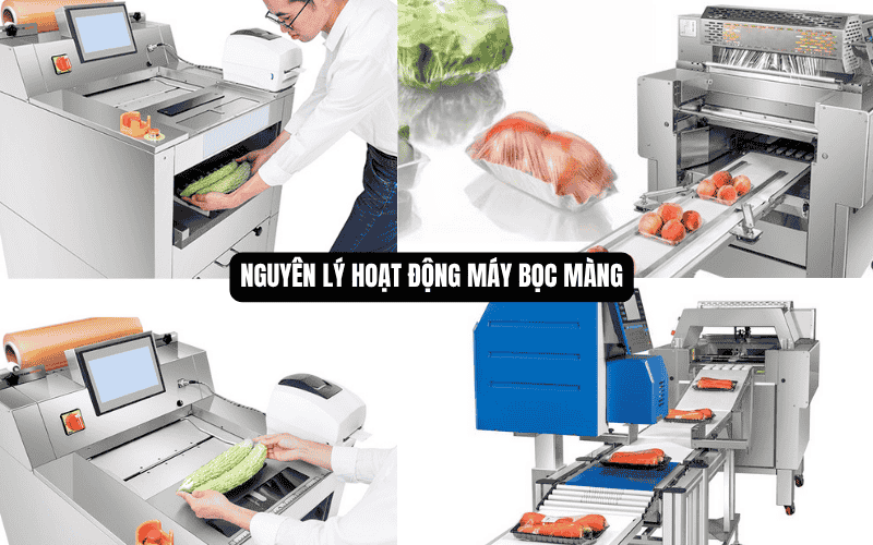 Nguyên lý hoạt động