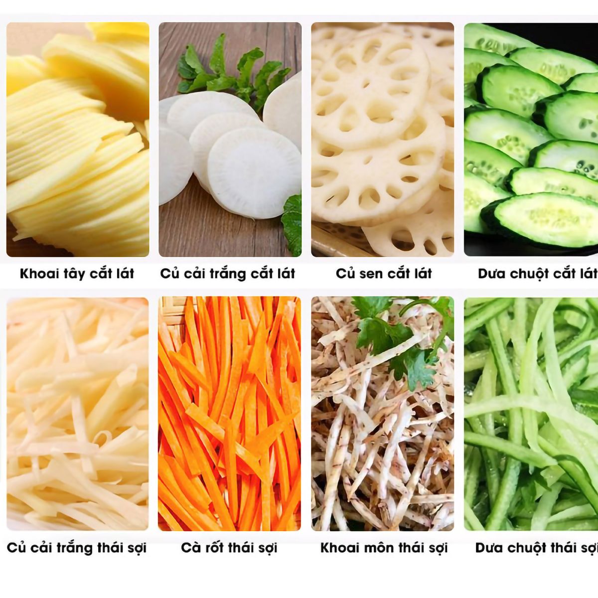 Máy Thái Rau Củ HM QSP-20