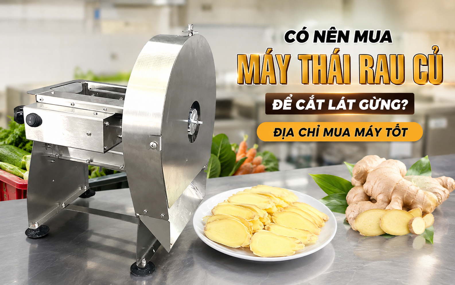 Có Nên Mua Máy Thái Rau Củ Để Cắt Lát Gừng? Địa Chỉ Mua Máy Tốt