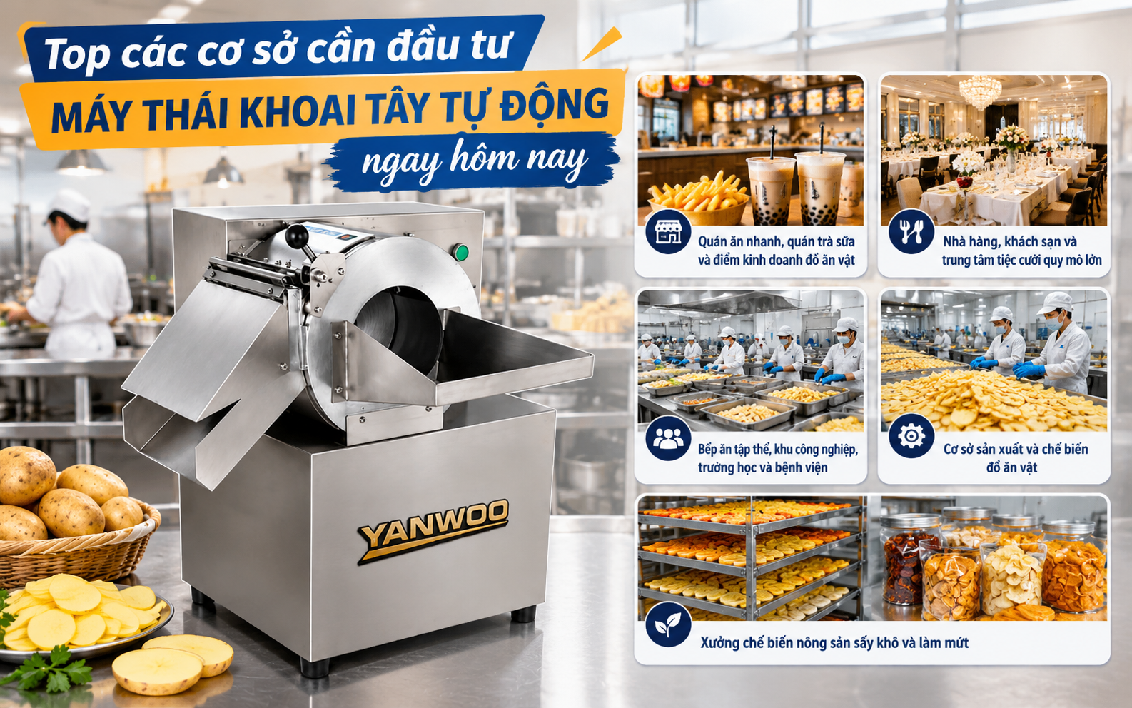 Top các cơ sở cần đầu tư máy thái khoai tây tự động ngay hôm nay