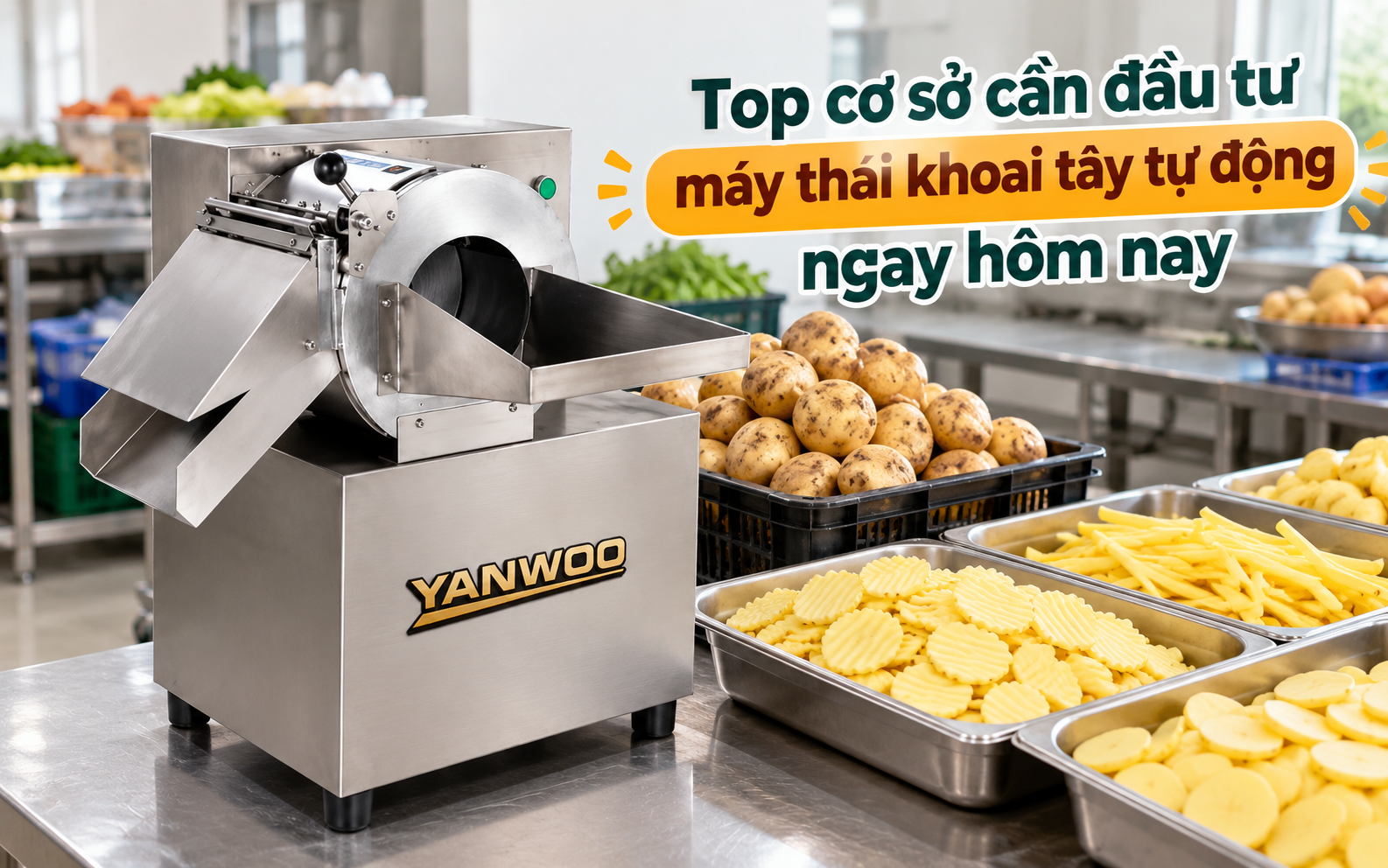 Top cơ sở cần đầu tư máy thái khoai tây tự động ngay hôm nay