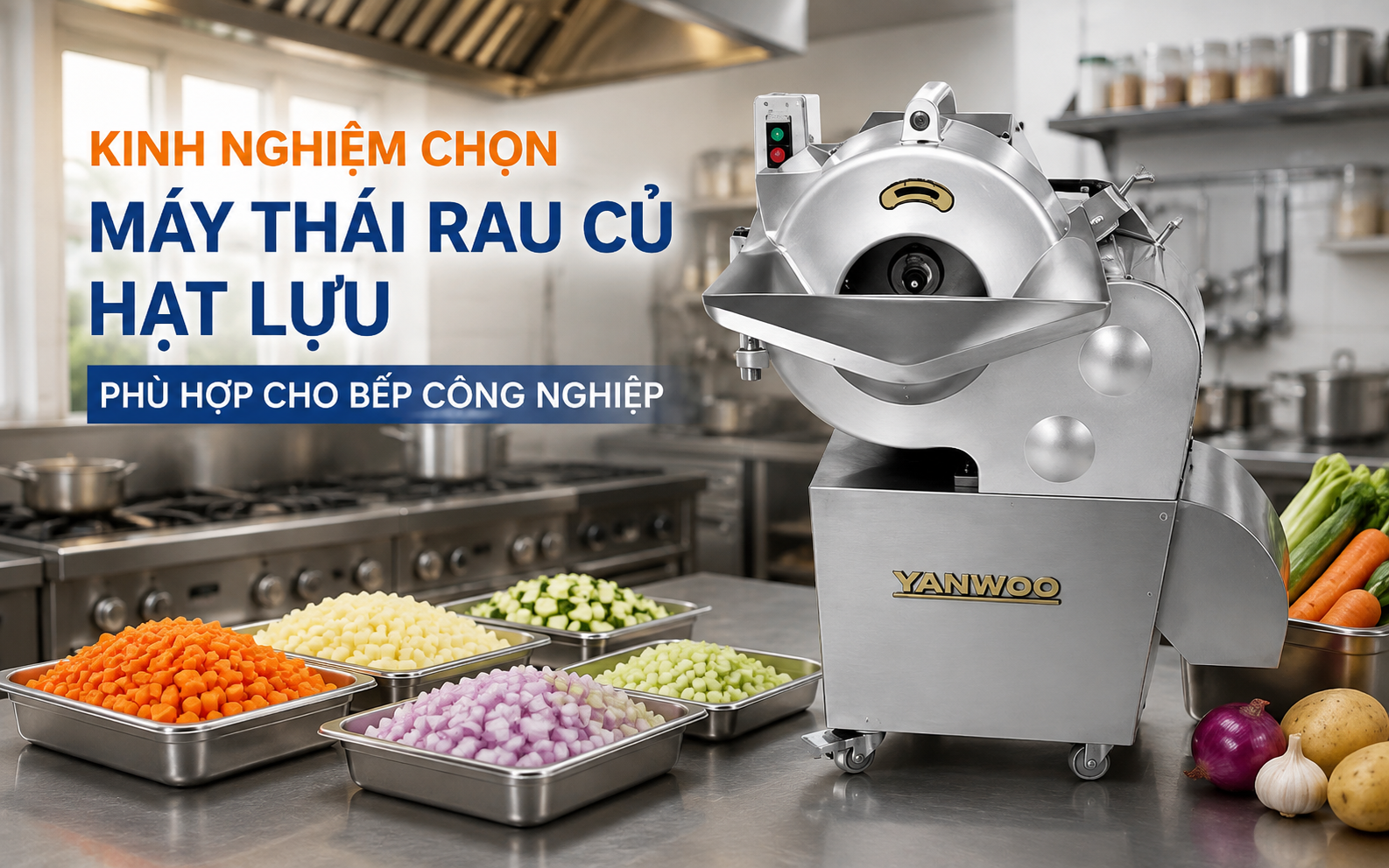 Kinh nghiệm chọn máy thái rau củ hạt lựu phù hợp cho bếp công nghiệp