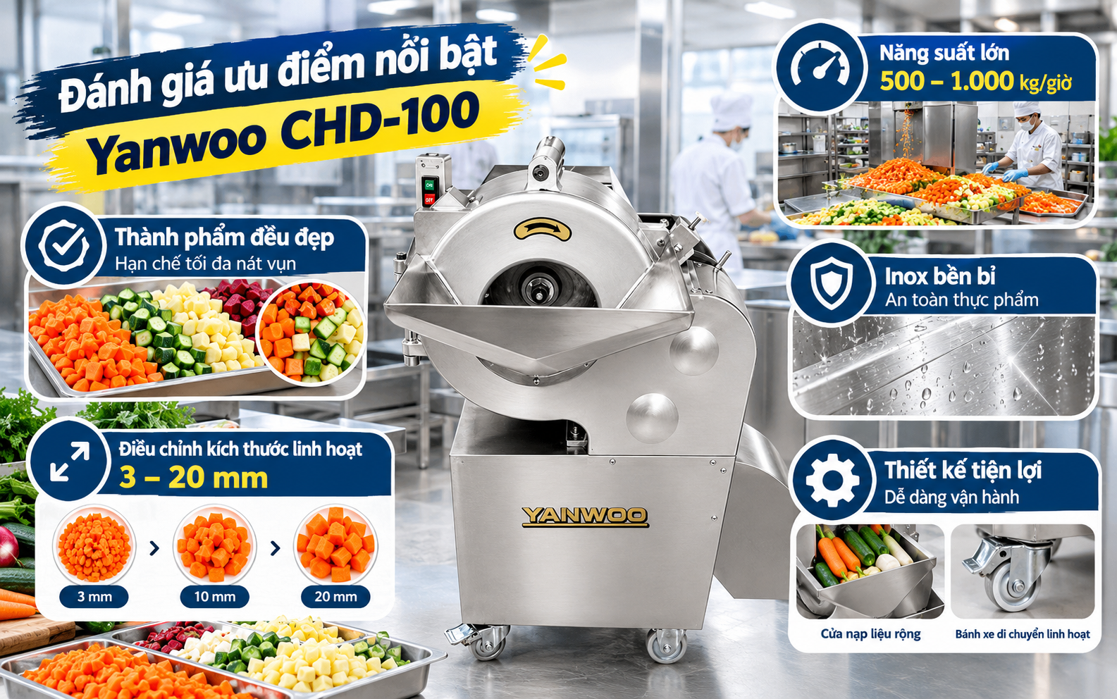 Đánh giá ưu điểm nổi bật của Yanwoo CHD-100