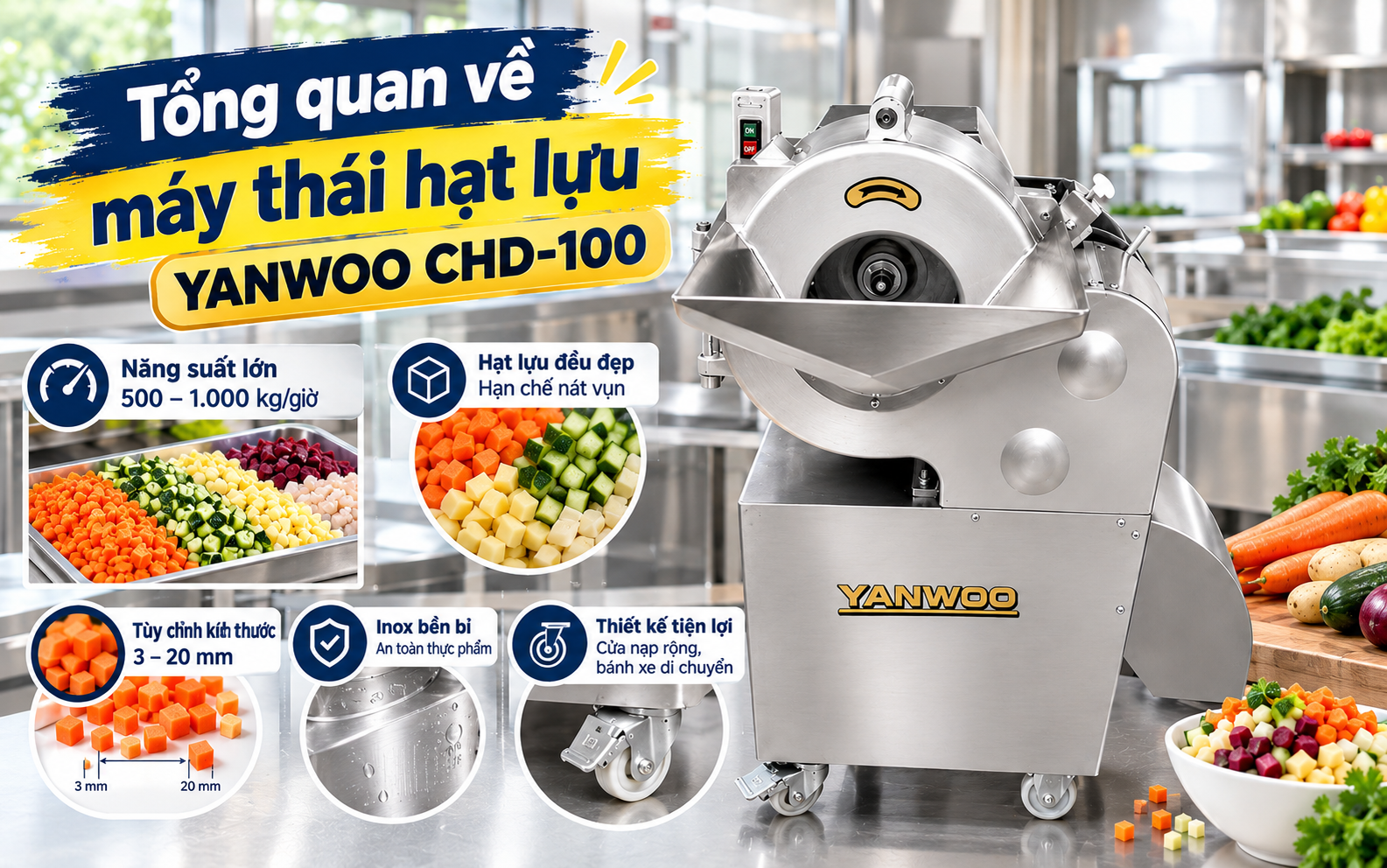 Tổng quan về máy thái hạt lựu Yanwoo CHD-100