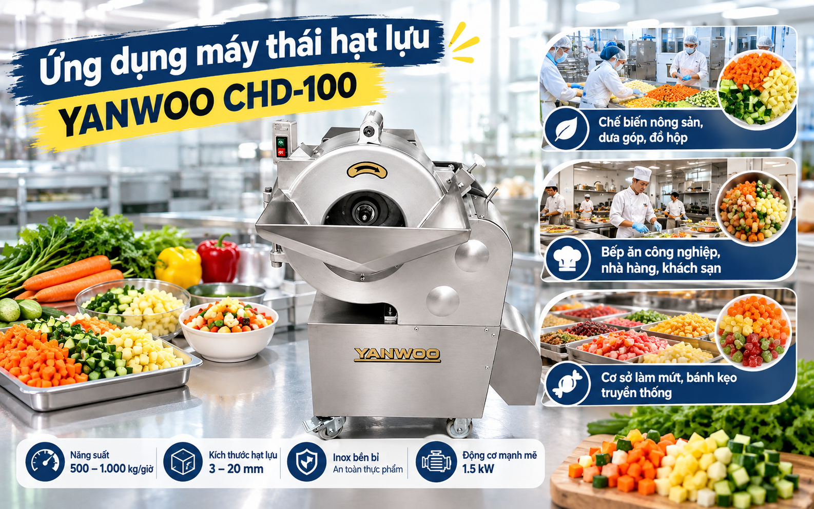 Ứng dụng máy thái hạt lựu Yanwoo CHD-100