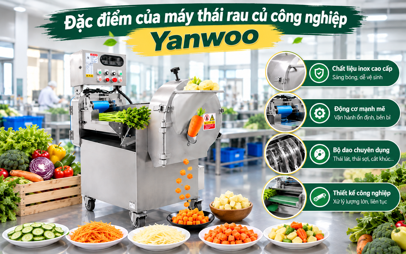 Đặc điểm của máy thái rau củ công nghiệp Yanwoo