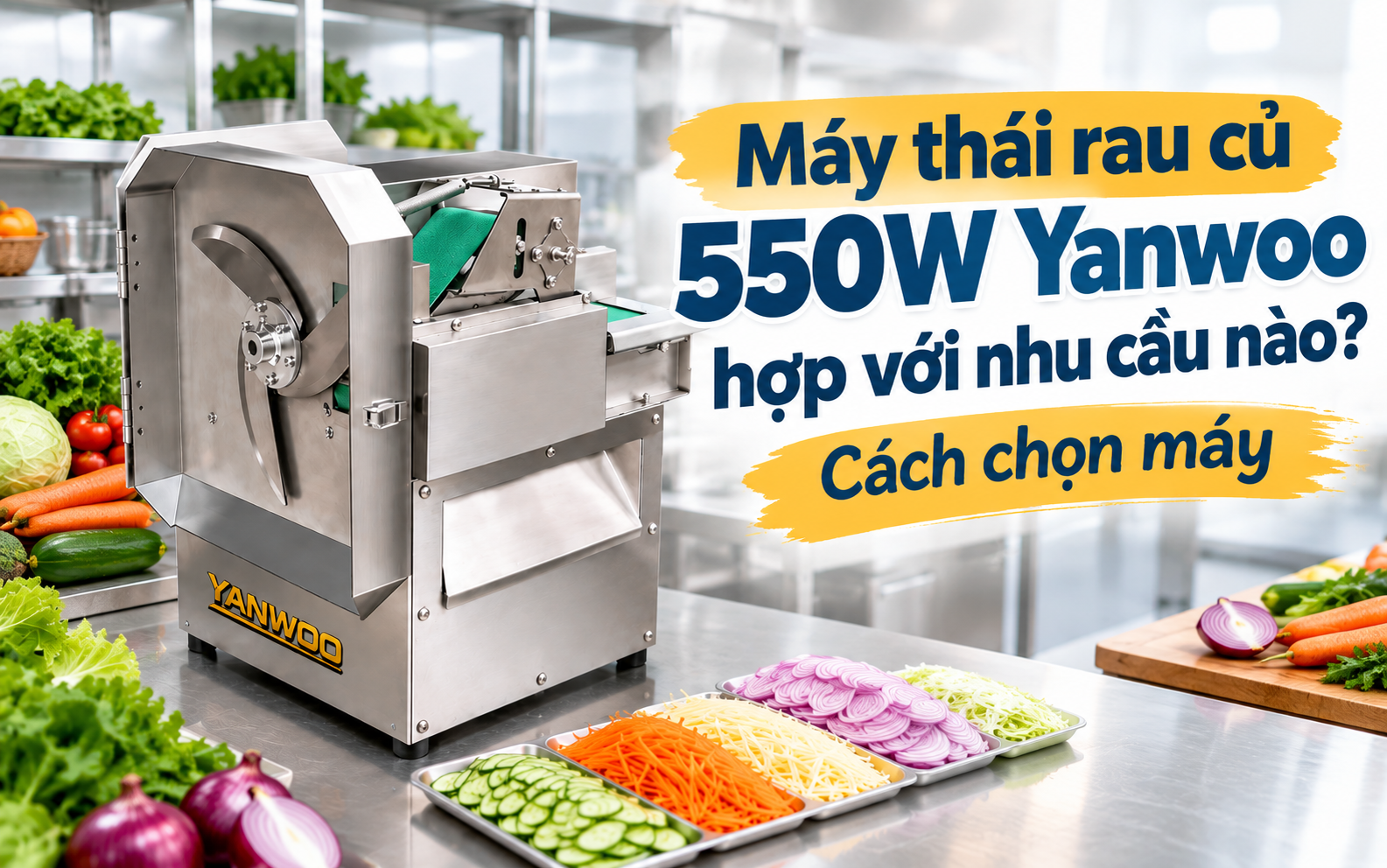 Máy thái rau củ 550W Yanwoo hợp với nhu cầu náo? Cách chọn máy