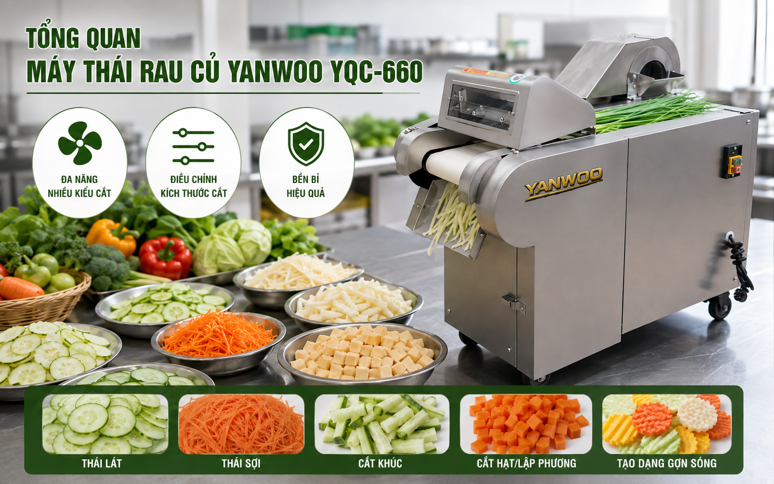 Tổng quan về dòng máy thái rau củ Yanwoo YQC-660