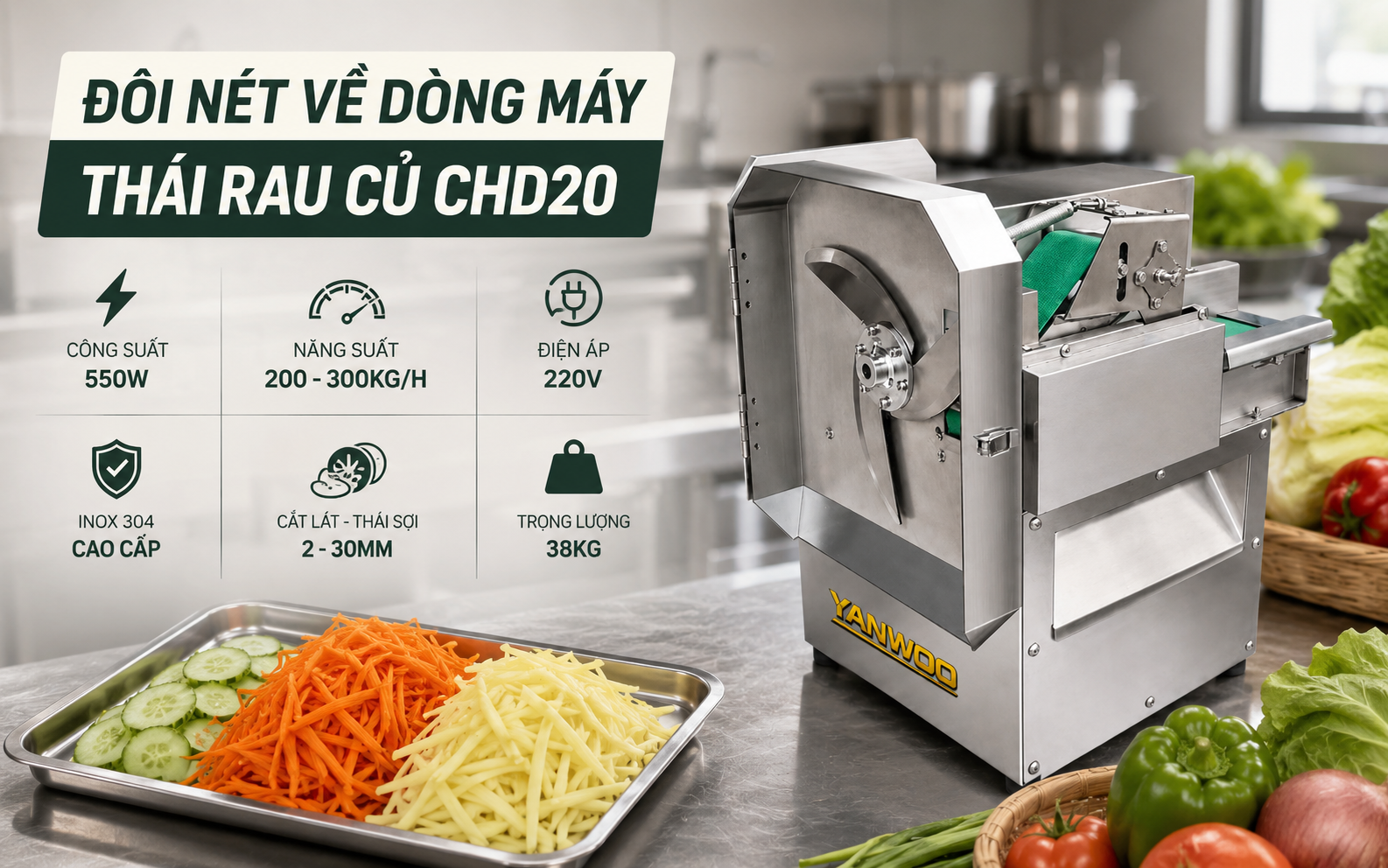 Những ưu điểm nổi bật của máy thái rau củ CHD20