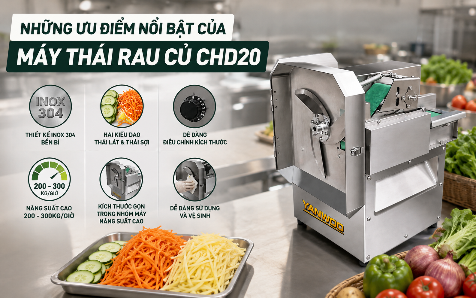  Những ưu điểm nổi bật của máy thái rau củ CHD20