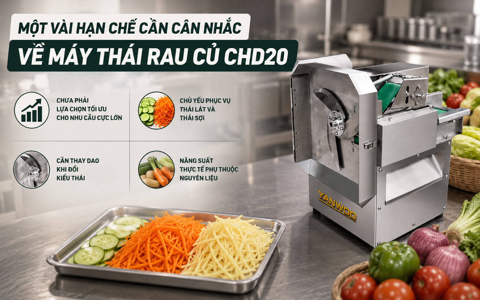 Một vài hạn chế cần cân nhắc về máy thái rau củ CHD20