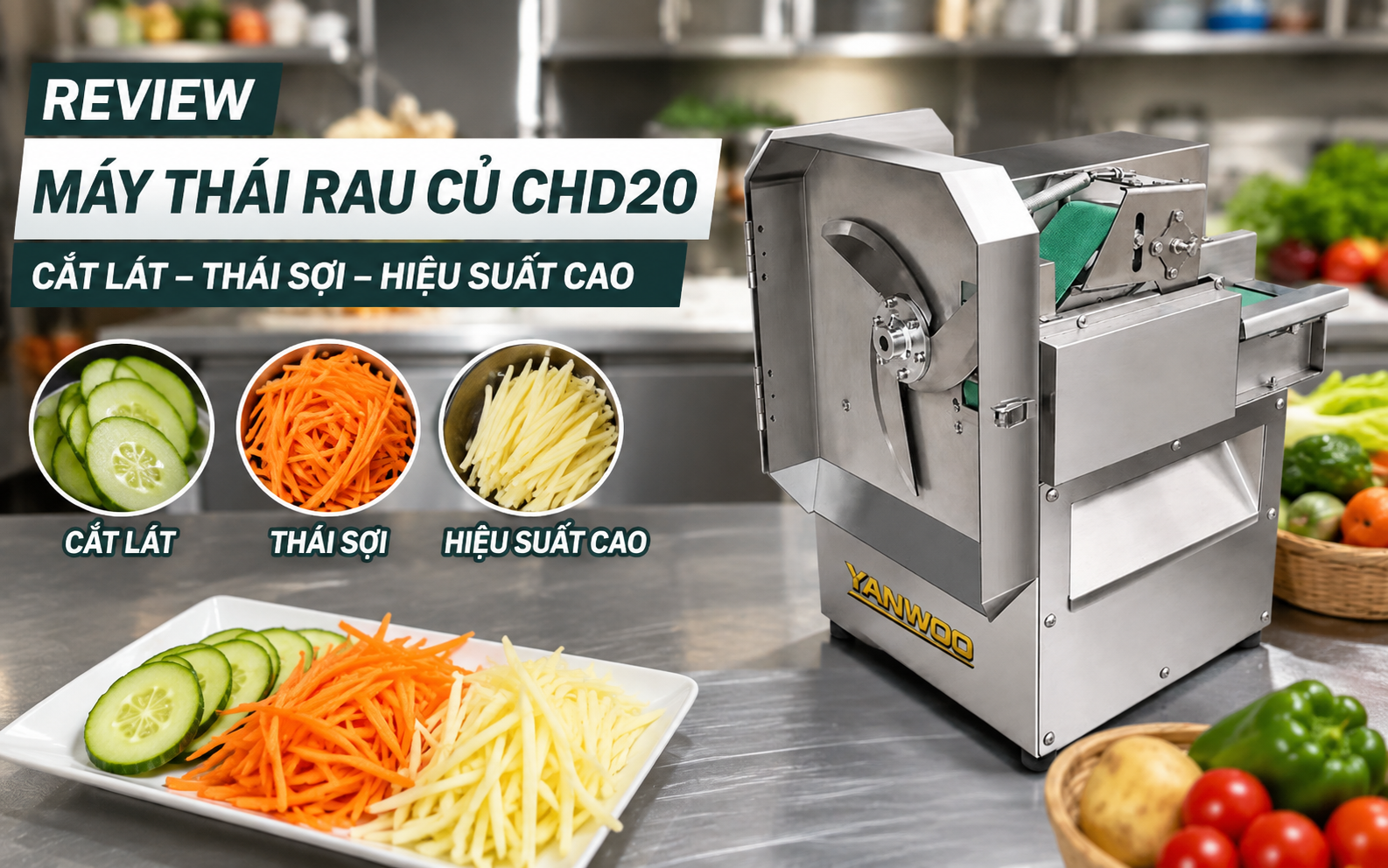 Review máy thái rau củ CHD20: Cắt lát, thái sợi, hiệu suất cao