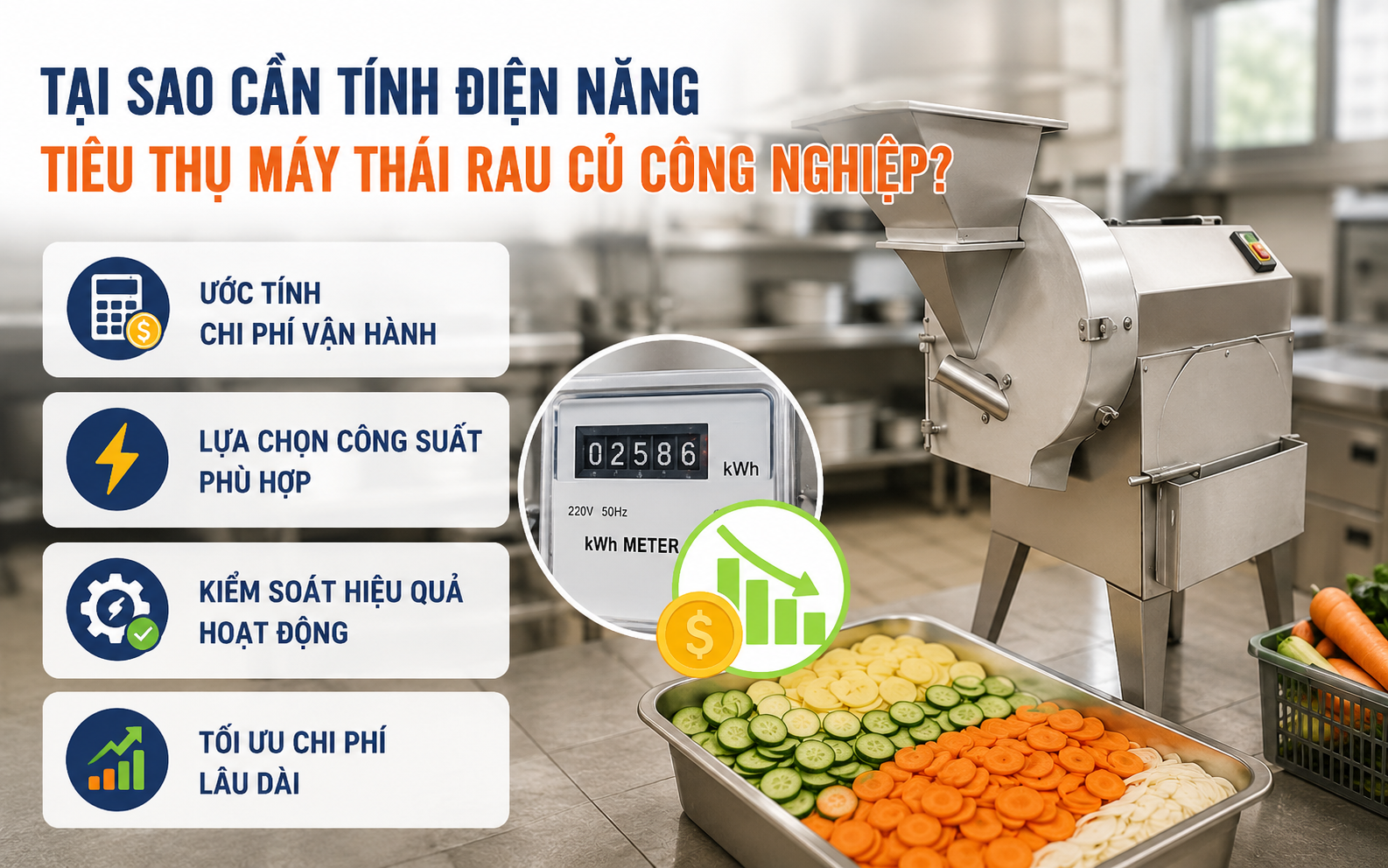 Tại sao cần tính điện năng tiêu thụ máy thái rau củ công nghiệp?