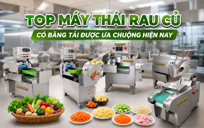 Top máy thái rau củ có băng tải được ưa chuộng hiện nay